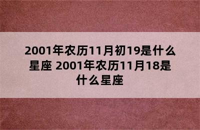 2001年农历11月初19是什么星座 2001年农历11月18是什么星座